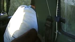 BBC Дневник большой кошки 1 сезон 3