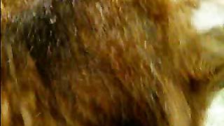 BBC Дневник большой кошки 1 сезон 5