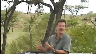 BBC Дневник большой кошки 2 сезон 8