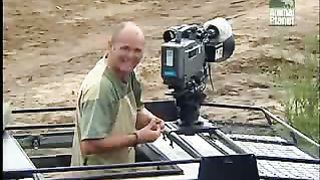 BBC Дневник большой кошки 2 сезон 10