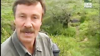 BBC Дневник большой кошки 2 сезон 10