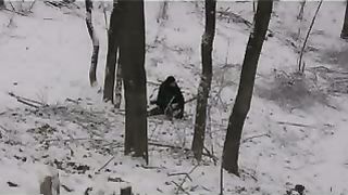 В чём смысл нашей жизни Докум ф