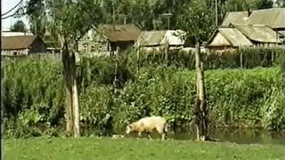 Жертва / Корбан (1998)