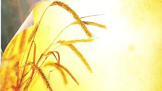 Василий Савич - Пасха наша ХРИСТОС