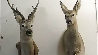 Клуб друзей - Страусиная ферма и такседермическая студия