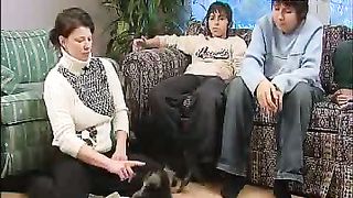 Клуб друзей – Собаки