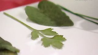 Клуб друзей - Композиции из цветов