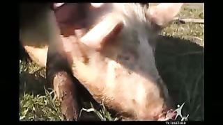 Угол - Геннадий Мохненко - Время Добрых перемен 1