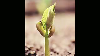 Лучшим родителям посвяшается