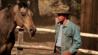 Упрямые сердца (2003)