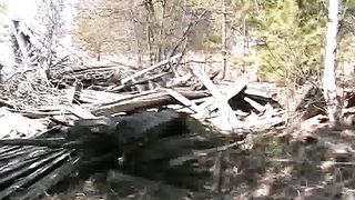 Рядом с островом смерти (2009)