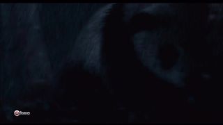 След панды (2009)