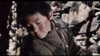 След панды (2009)