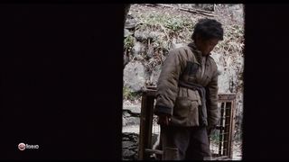 След панды (2009)