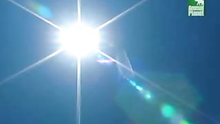 BBC Дневник большой кошки 4 сезон 2