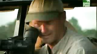 BBC Дневник большой кошки 4 сезон 4