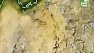 BBC Дневник большой кошки 4 сезон 4