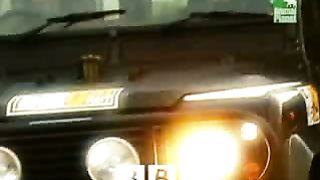 BBC Дневник большой кошки 4 сезон 6