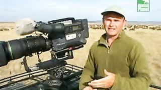 BBC Дневник большой кошки 4 сезон 6