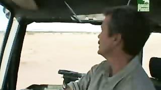 BBC Дневник большой кошки 4 сезон 6