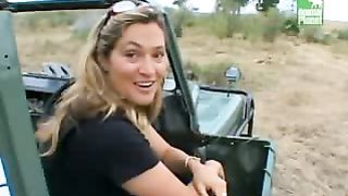 BBC Дневник большой кошки 4 сезон 6