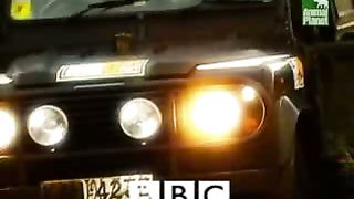 BBC Дневник большой кошки 3 сезон 1