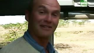 BBC Дневник большой кошки 3 сезон 6