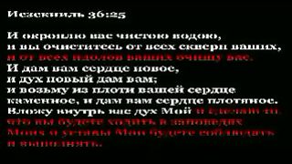 Бегайте блуда...