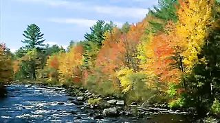 Я здесь чтобы прославить