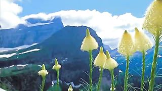 Я здесь чтобы прославить (минус)