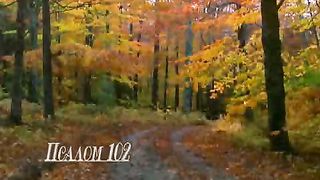 Псалом 102