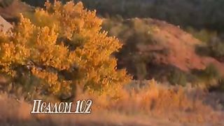Псалом 102