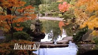 Псалом 102