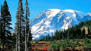 JESUS Lover of my soul