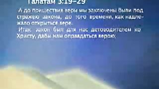 Евгений Тайц - Закон или Благодать 5