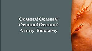 Прославление Церкви Дом Хлеба - Хвала небесному Царю