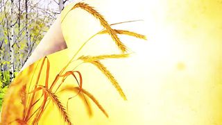 Василий Савич - Почитай отца и мать