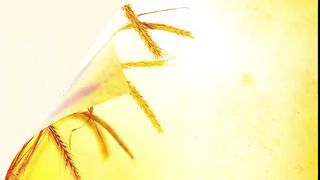 Василий Савич - Отцы не раздражайте детей