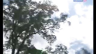 BBC Дневник большой кошки 8 сезон 1