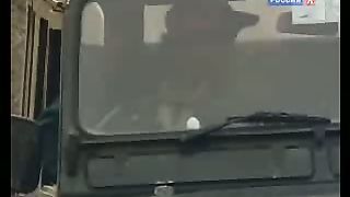 BBC Дневник большой кошки 8 сезон 5