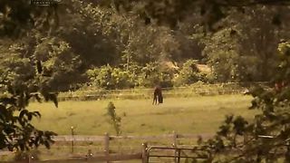 В стране Бога (2007)