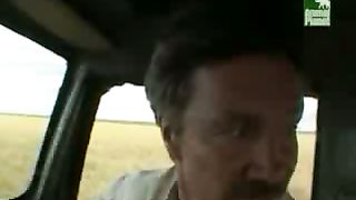 BBC Дневник большой кошки 5 сезон 1