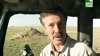 BBC Дневник большой кошки 5 сезон 5