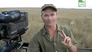 BBC Дневник большой кошки 5 сезон 5