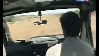 BBC Дневник большой кошки 6 сезон 1