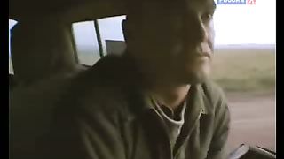 BBC Дневник большой кошки 6 сезон 5