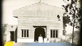 Элис Шевкенэк - Безумна Христа ради 2