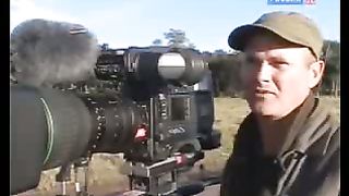 BBC Дневник большой кошки 7 сезон 2