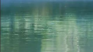 Христианские притчи - Трое и лужа