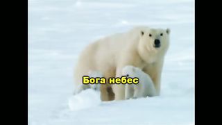 Хвалите Бога небес (караоке)
